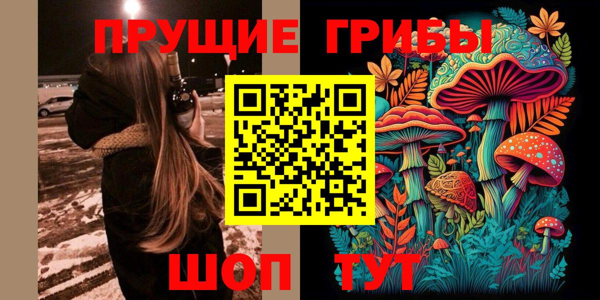 где купить наркоту  Псилоцибиновые грибы прущие грибы  Вход с VPN  Знаменск 