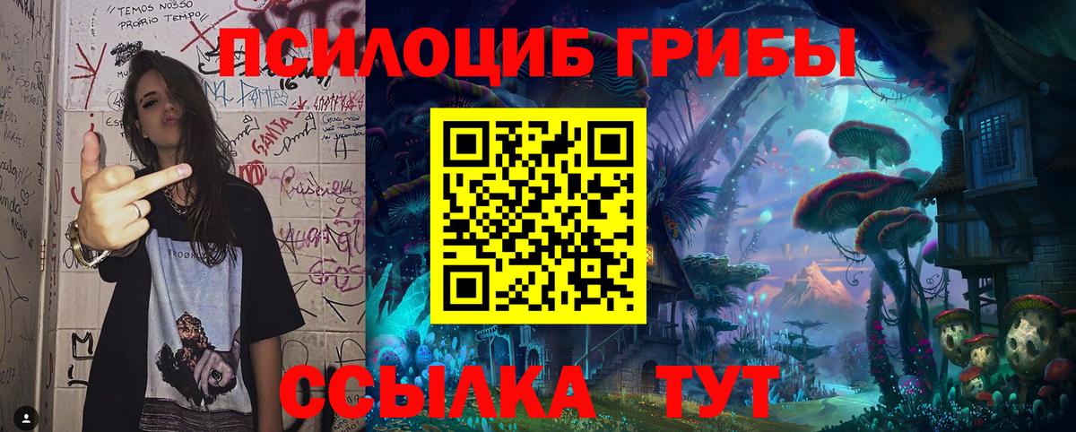 Галлюциногенные грибы Psilocybine cubensis Знаменск